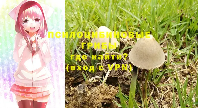 МЕГА зеркало  Всеволожск  Псилоцибиновые грибы Magic Shrooms 